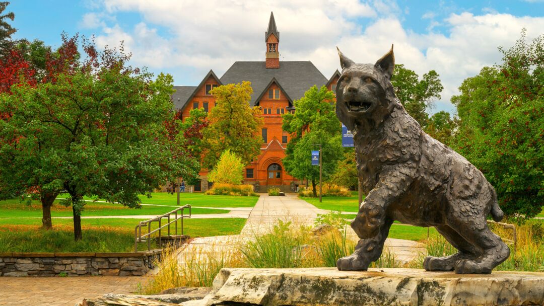 Bozeman destination image